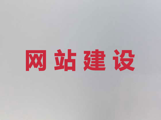银川专业网站设计建设